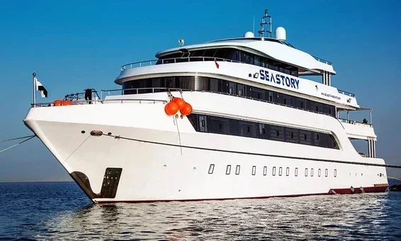 MV Sea Story, 11 Dead, 33 Rescued