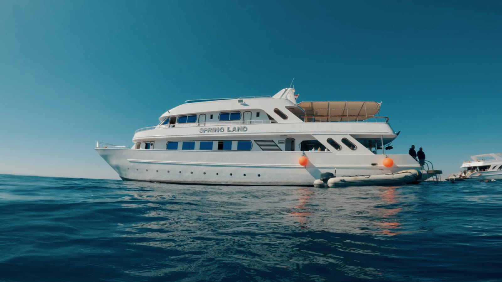 Springland at sea