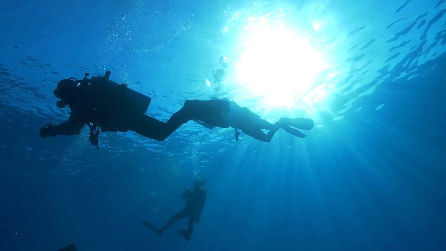 Two divers silhouetted just below the surface against the sun