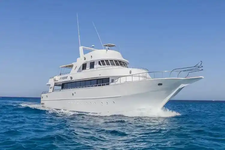 MV Firebird, Reef Strike at 1am En Route to Dahab