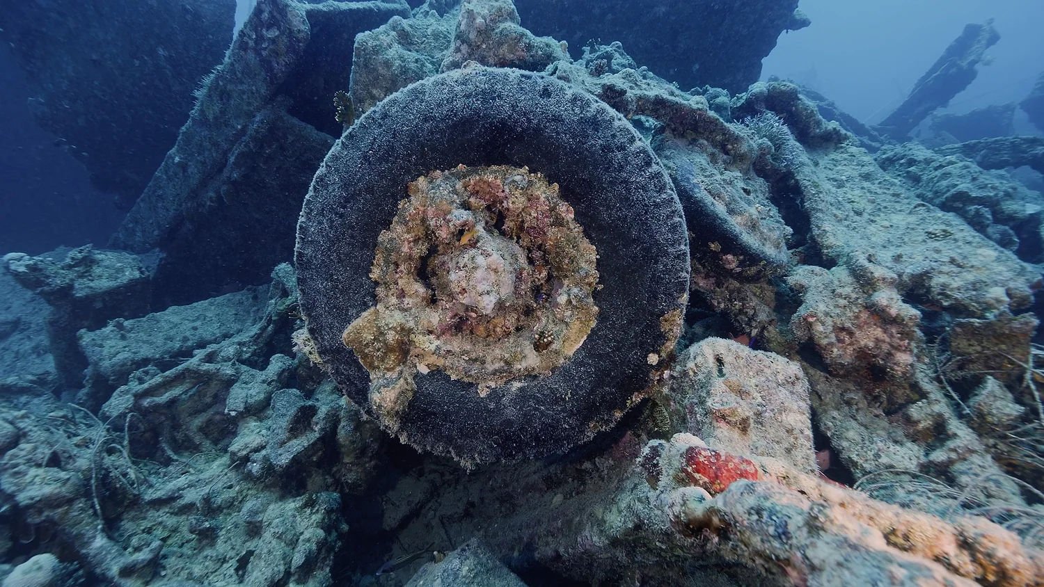 Encrusted truck tire in the Thistlegorm cargo