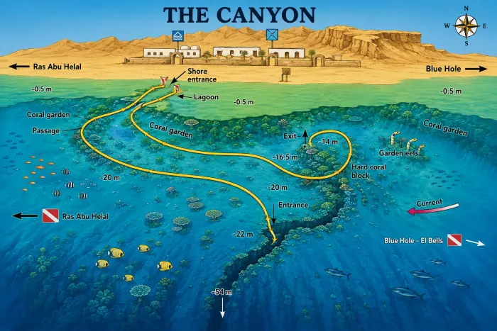 The Canyon dive map