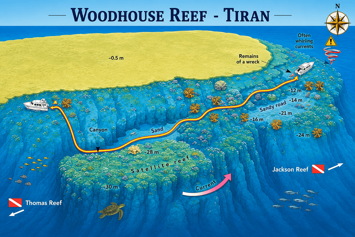 Woodhouse Reef dive map