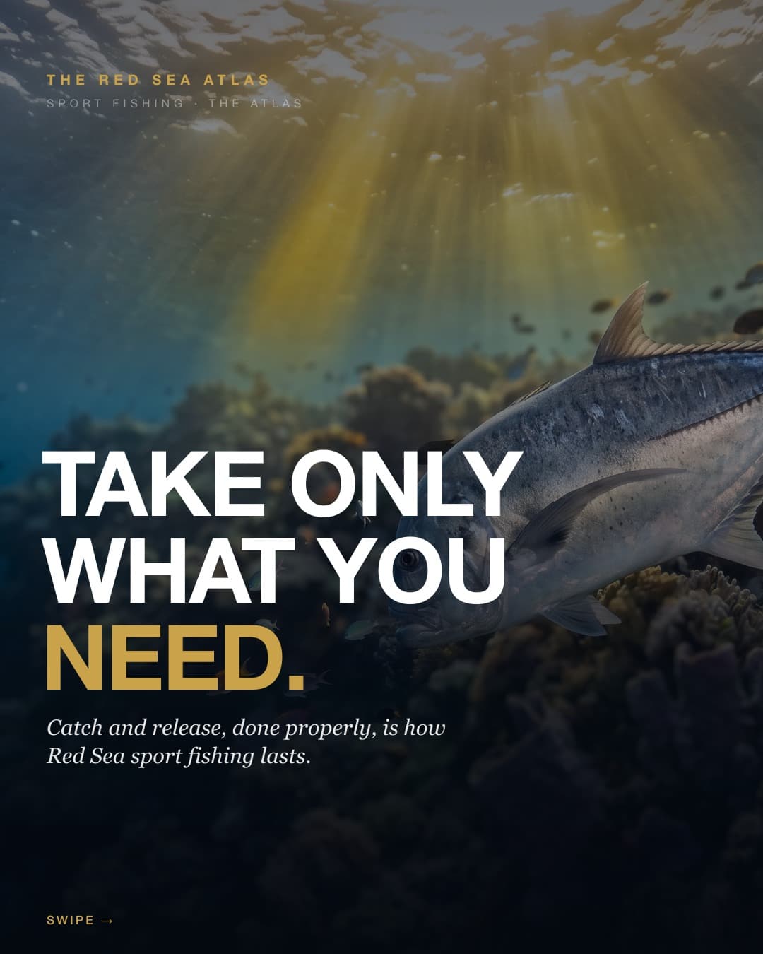Identify your catch